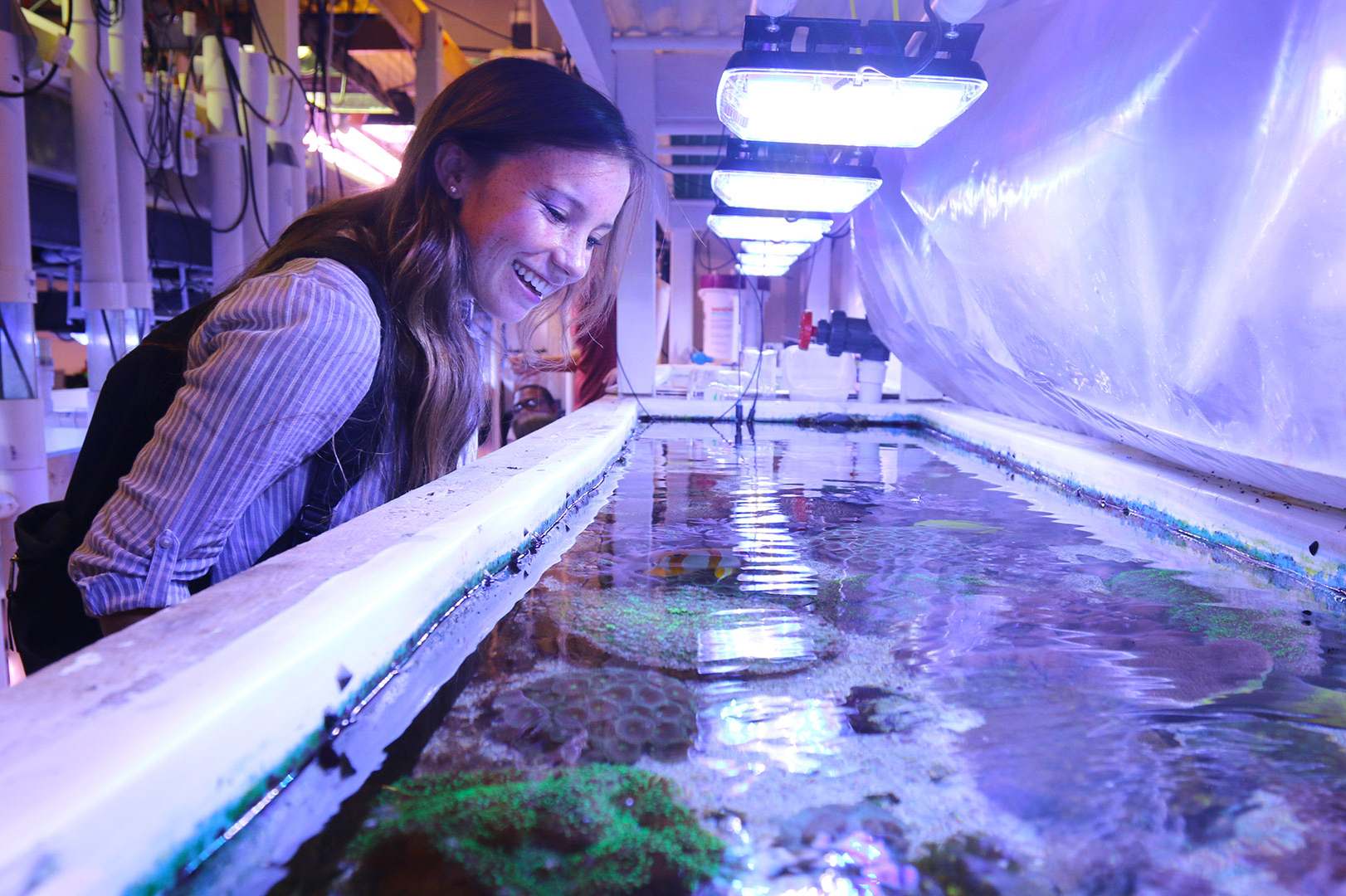 SMCM student leans in for a closer look at the Schaefer Hall Wet Lab.