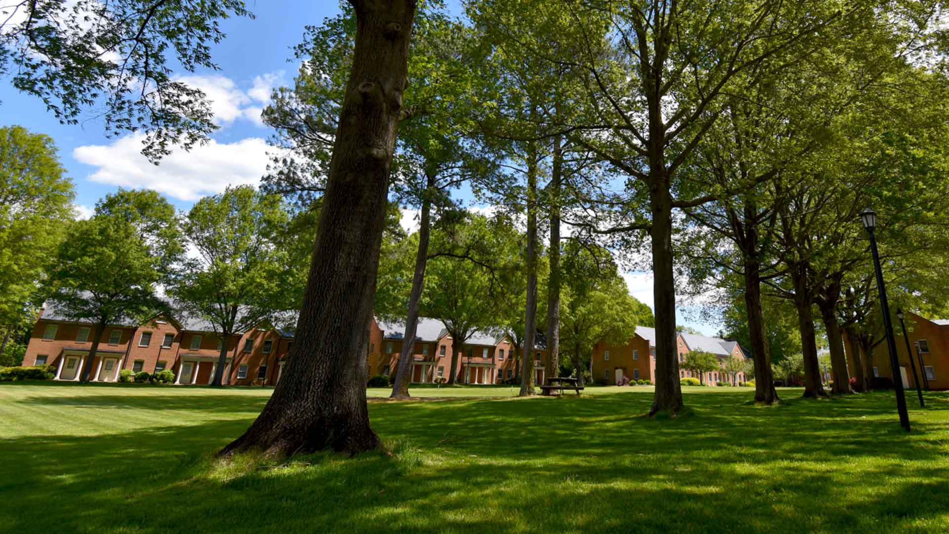 A picture with brick buildings in the background and carefully planted trees around a large grass area