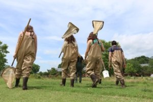 Students walking in waders to do field work